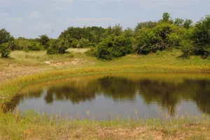 Comanche, TX 76442
