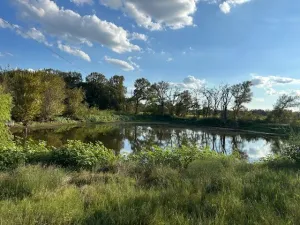 Alvarado, TX 76009