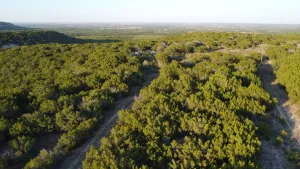 Abilene, TX 79602