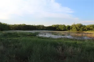 Robert Lee, TX 76945
