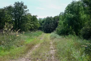 Henrietta, TX 76230