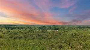Sour Lake, TX 77659