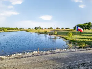 Ennis, TX 75119