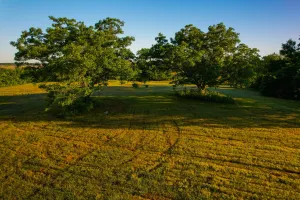 Dodd City, TX 75438