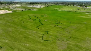 Dublin, TX 76446