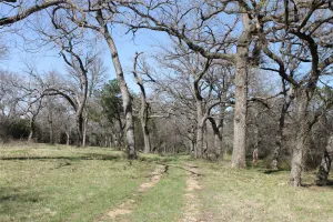 Graford, TX 76449