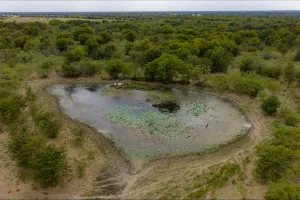 Wills Point, TX 75169