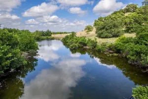 Hamilton, TX 76531