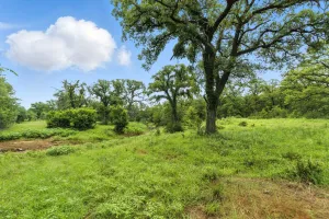 Jacksboro, TX 76458