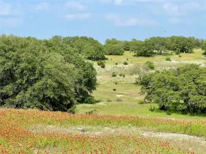 Walnut Springs, TX 76690