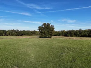 Stephenville, TX 76401