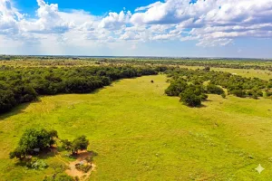 Harrold, TX 76364