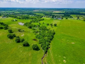 Covington, TX 76636