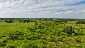 Coleman, TX 76834