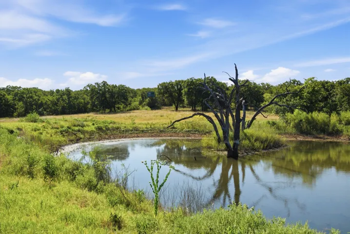 Graham, TX 76450
