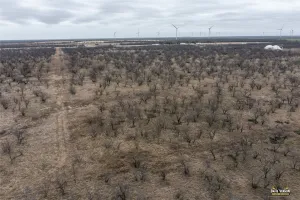 Clyde, TX 79510