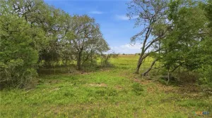 Hallettsville, TX 77964