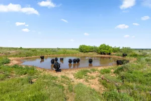 Montague, TX 76261