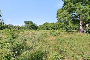 Whitesboro, TX 76273