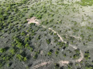 Voss, TX 76888