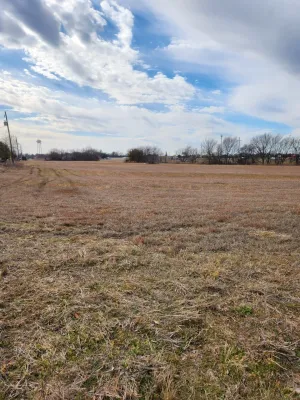 Tioga, TX 76271