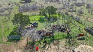 Graford, TX 76449
