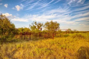 Gordon, TX 76453