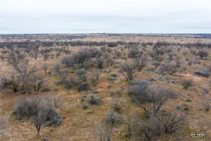 Baird, TX 79504