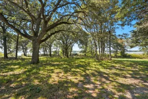 Lone Oak, TX 75453