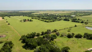 Pilot Point, TX 76258