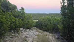 Abilene, TX 79602