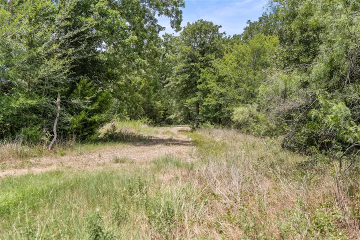 Kemp, TX 75143