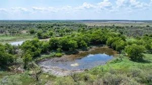 Throckmorton, TX 76843