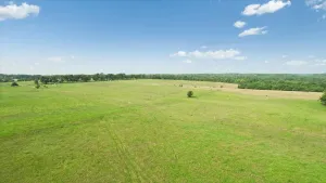 Honey Grove, TX 75446