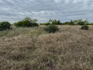 Voss, TX 76888
