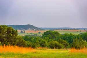 Fairy, TX 76457