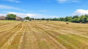 Farmersville, TX 75442