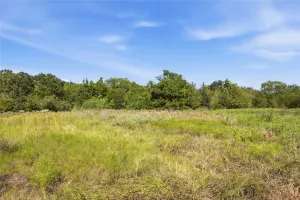 Greenville, TX 75402