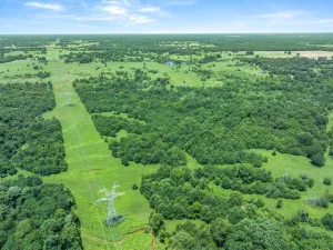 Edgewood, TX 75117