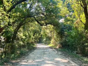 Milford, TX 76670
