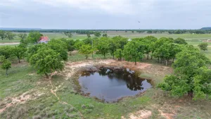 Ovalo, TX 79541
