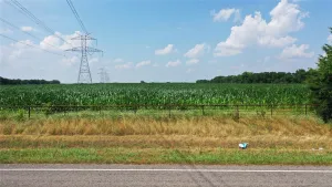Whitewright, TX 75491