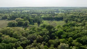 Athens, TX 75751