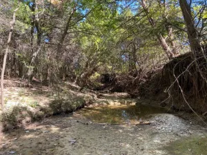 Cedar Hill, TX 75104