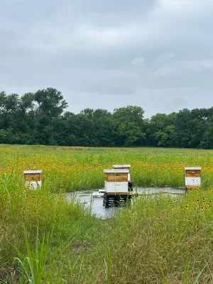 Honey Grove, TX 75446
