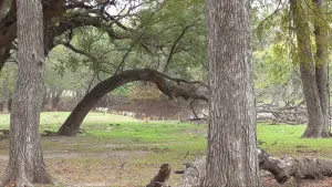 Lampasas, TX 76550