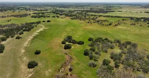 Goldthwaite, TX 76866
