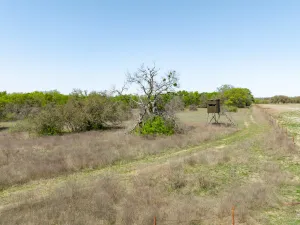 Evant, TX 76525