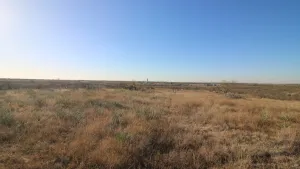 Abilene, TX 79601