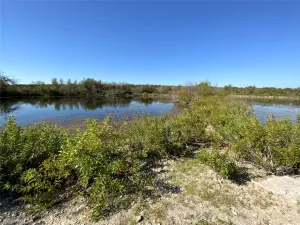 Carlton, TX 76436